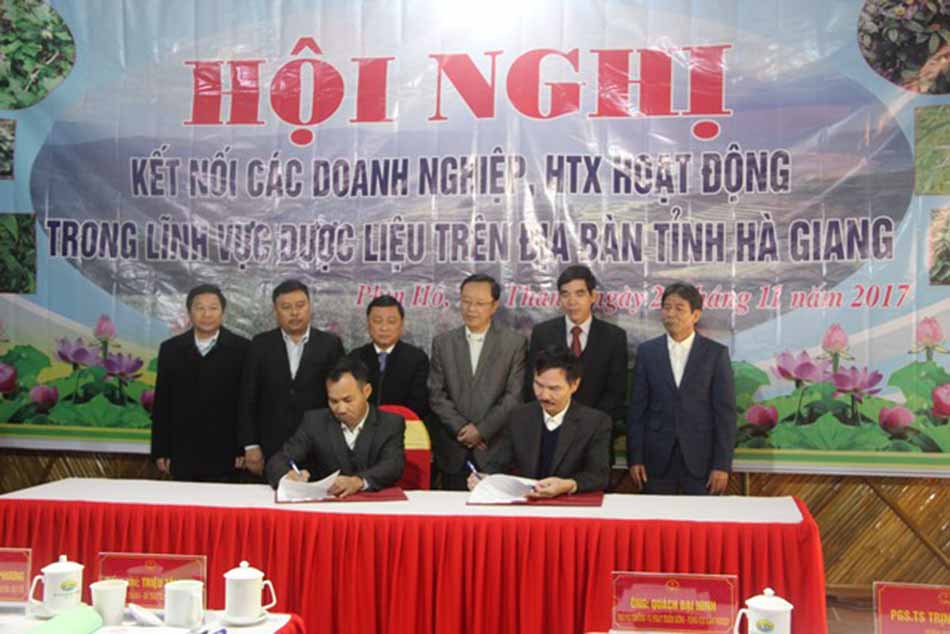 Ký kết đầu tư dự án Thu hái bảo tồn, trồng và chế biến dược liệu tại Hà Giang