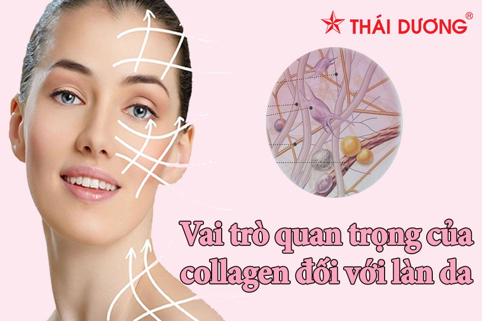 Vai trò của collagen đối với làn da
