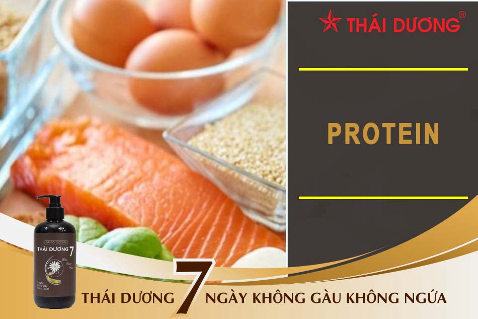 Trứng và cá là các loại thực phẩm giàu protein