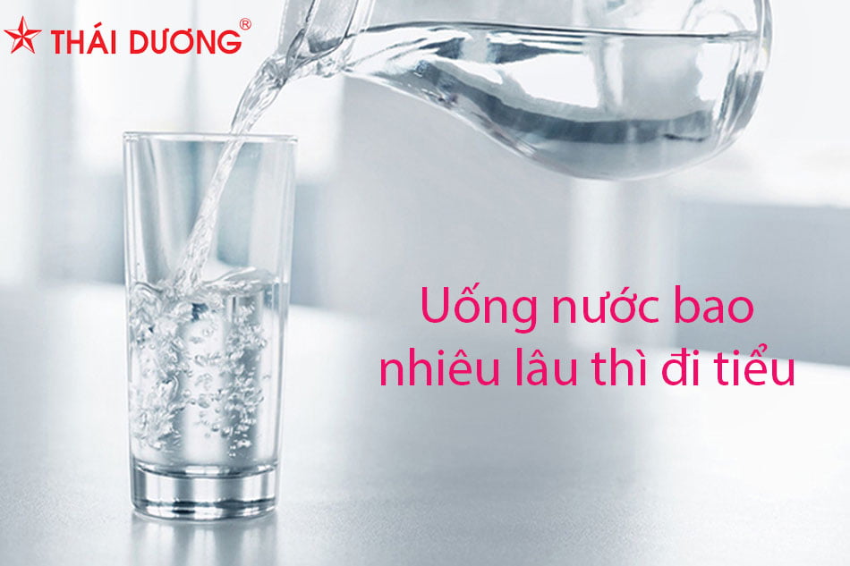 Uống nước bao lâu thì đi tiểu